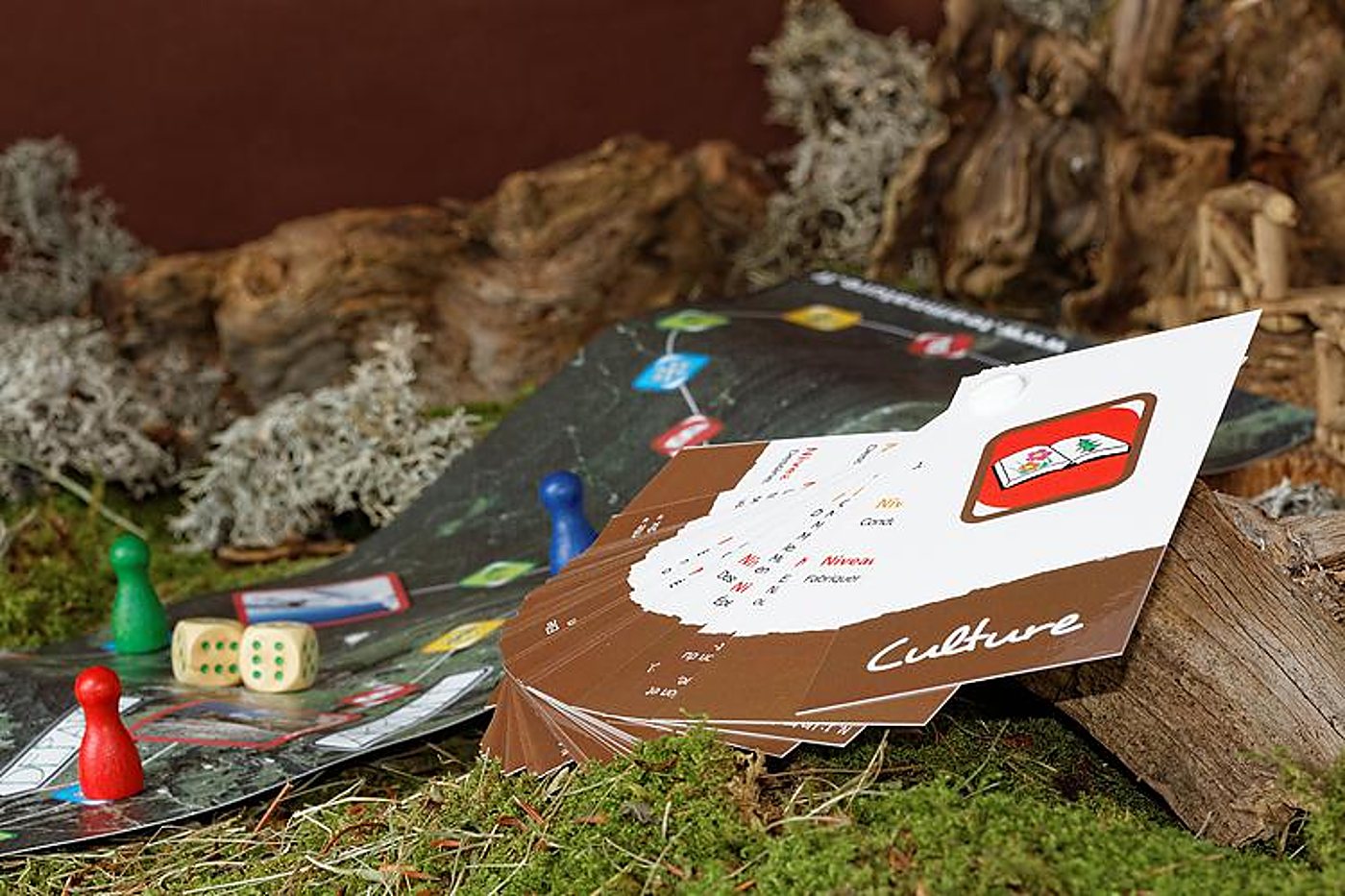 Un plateau de jeu de société avec des pions colorés, deux dés et un éventail de cartes brunes intitulées Culture, posés sur de la mousse et du bois flotté.
